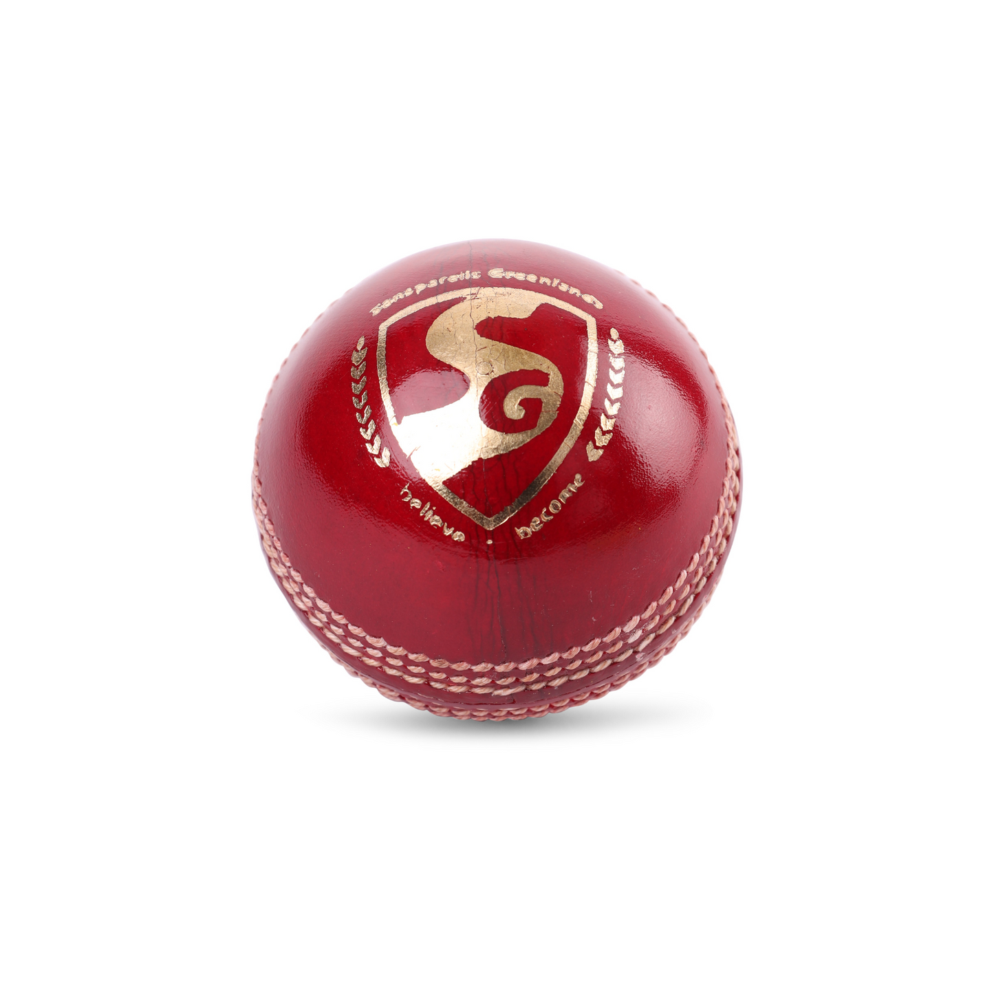 SG Shield 30 Cricket Ball