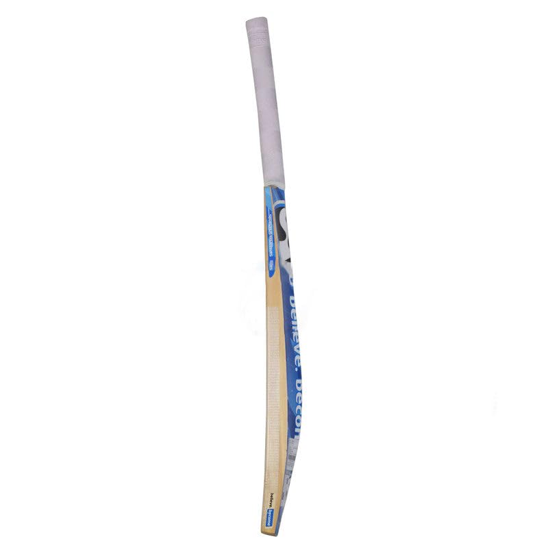 SG HP Plus Kashmir Willow Cricket Bat