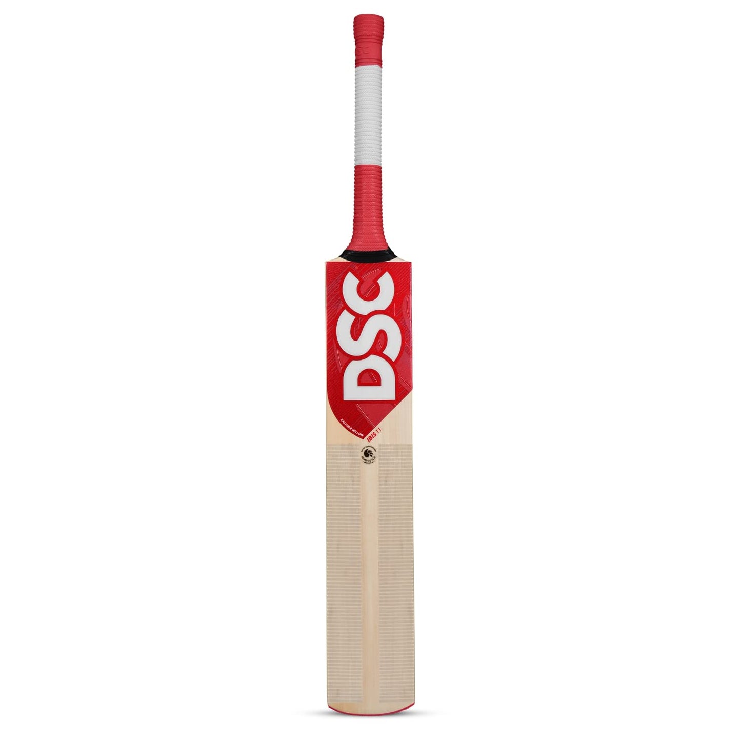 DSC IBIS 11 Kashmir Willow Cricket Bat