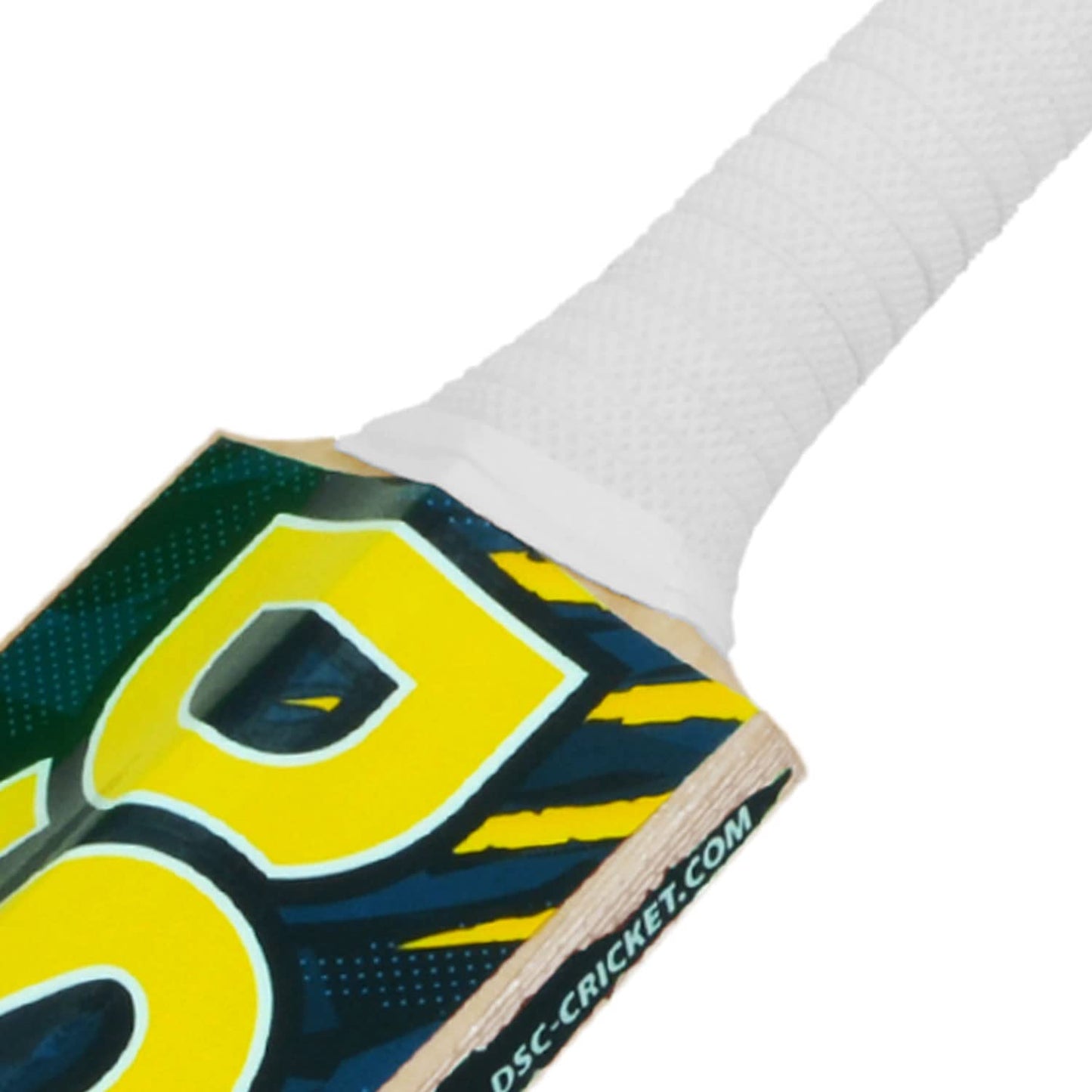 DSC Roar Blast Kashmir Willow Cricket Bat