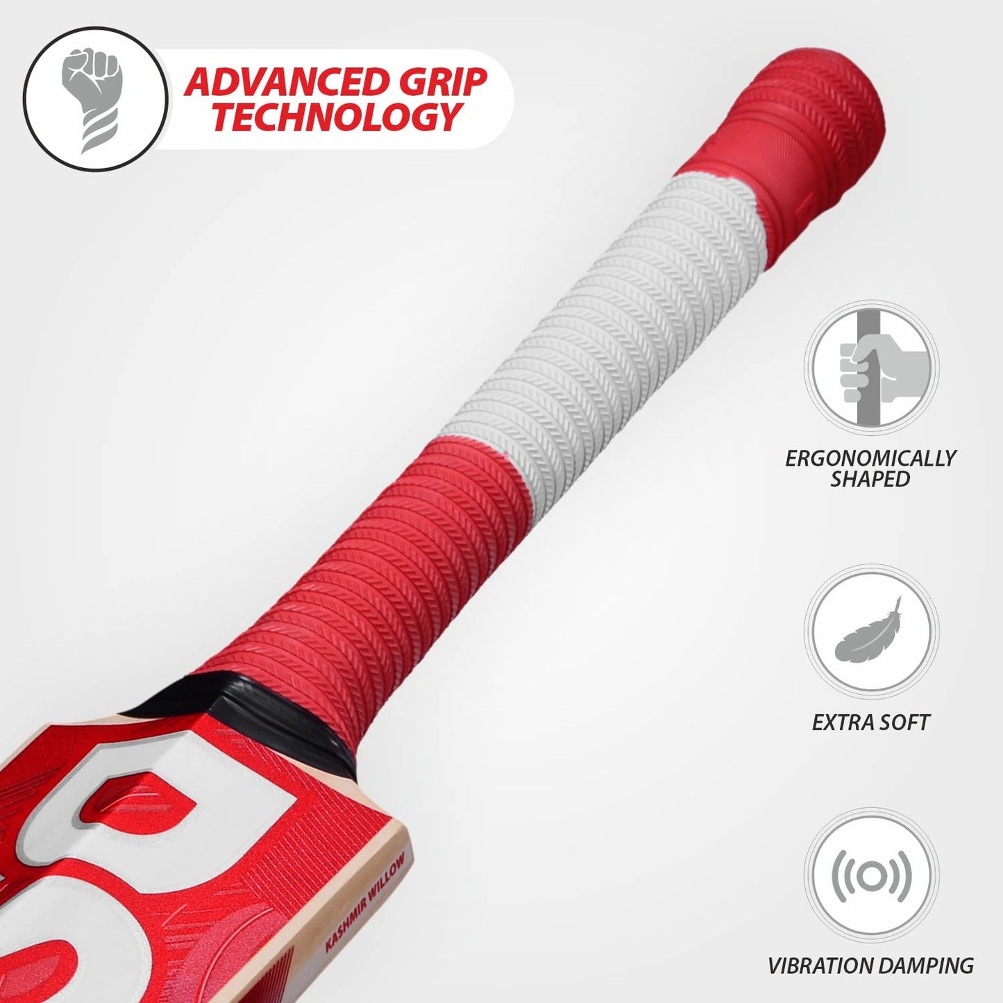 DSC IBIS 11 Kashmir Willow Cricket Bat