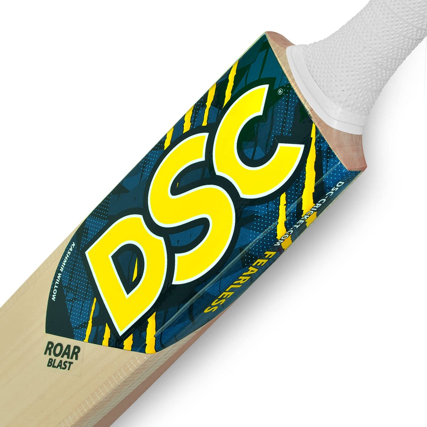 DSC Roar Blast Kashmir Willow Cricket Bat