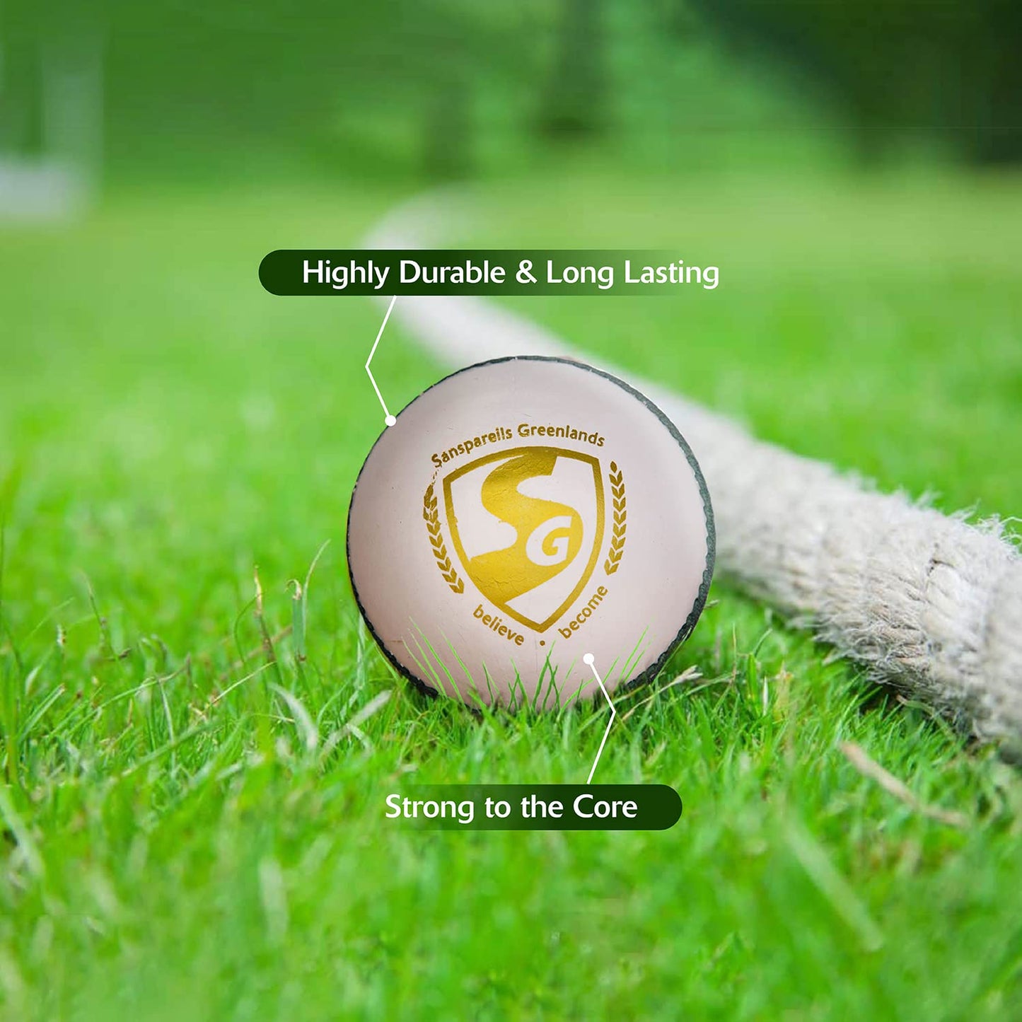 SG Shield 30 Cricket Ball