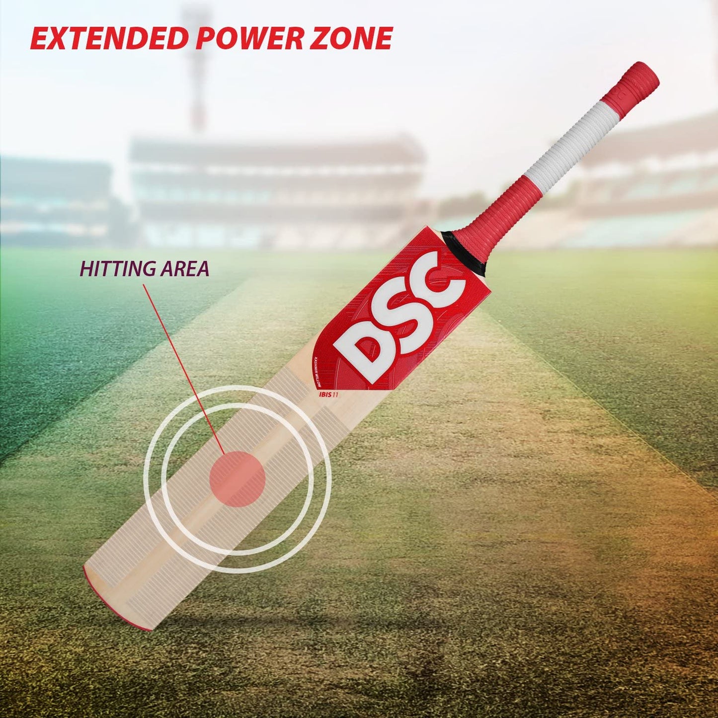DSC IBIS 11 Kashmir Willow Cricket Bat