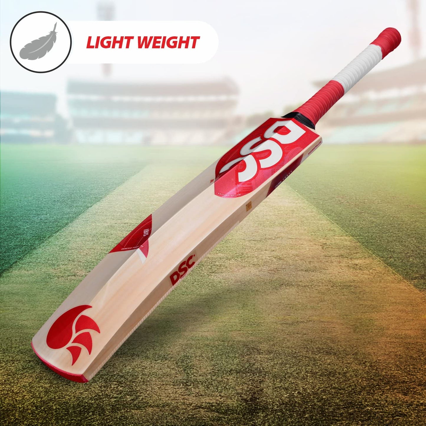 DSC IBIS 11 Kashmir Willow Cricket Bat
