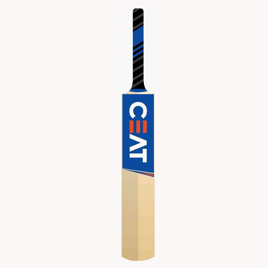 CEAT PRO R 10 KASHMIR WILLOW CRICKET BAT