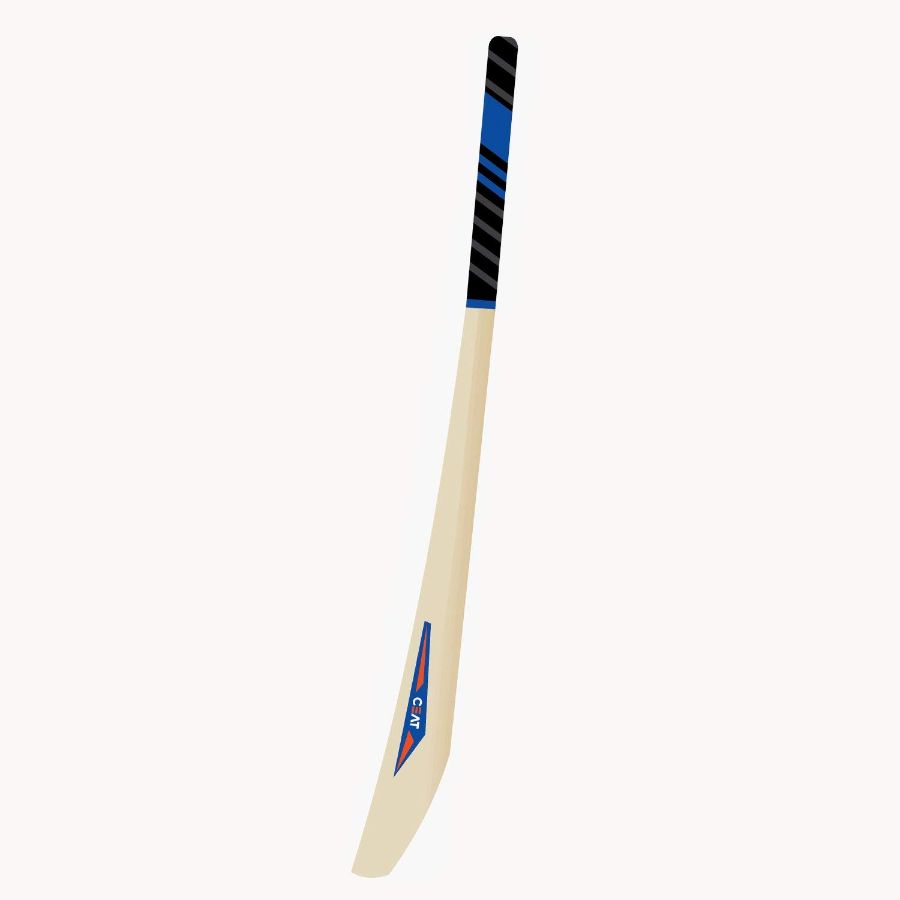 CEAT PRO R 10 KASHMIR WILLOW CRICKET BAT