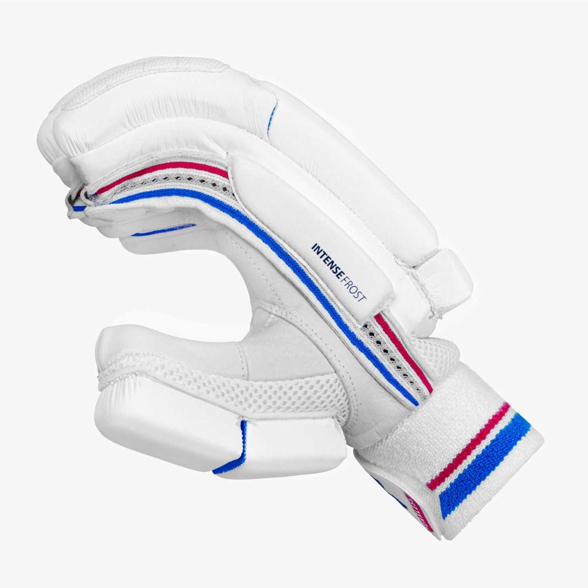 DSC Intense Frost Batting Gloves
