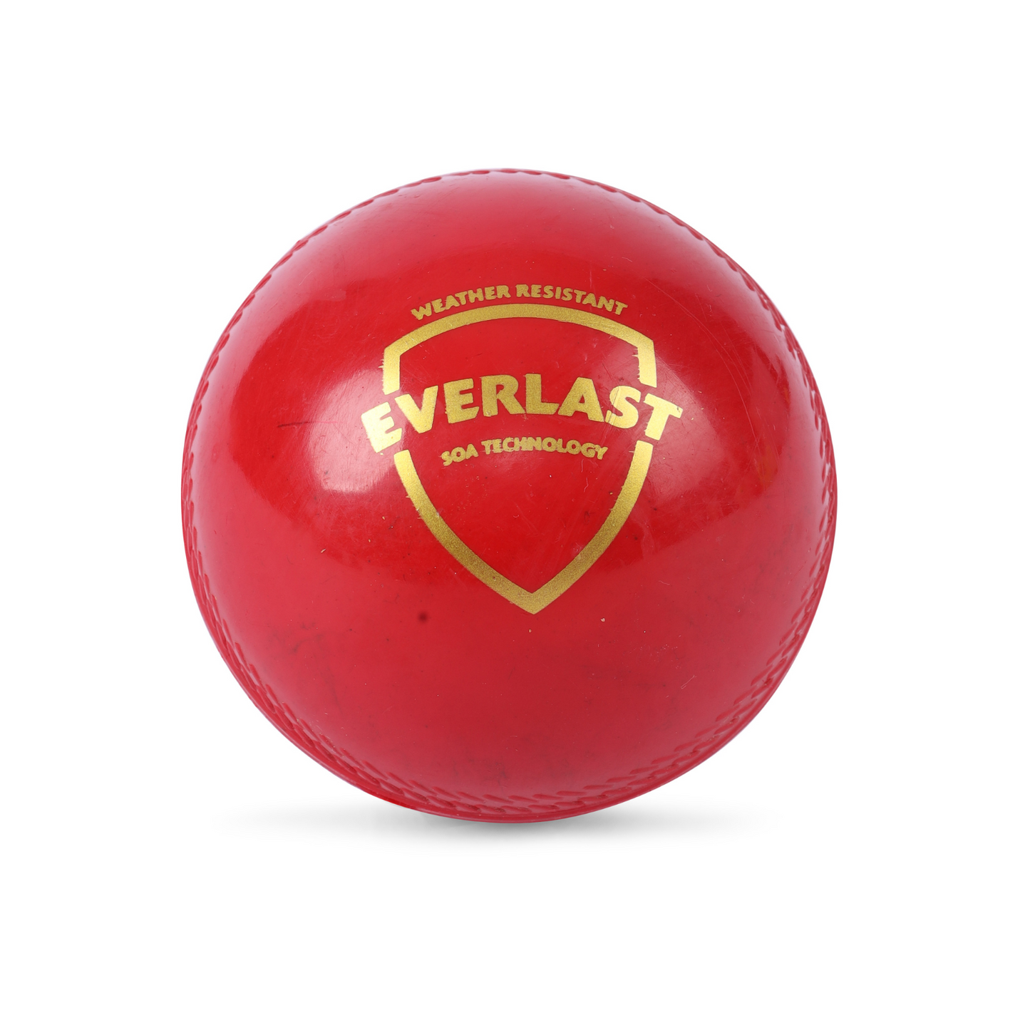 SG Everlast Synthetic Cricket Ball