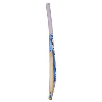 SG HP Plus Kashmir Willow Cricket Bat