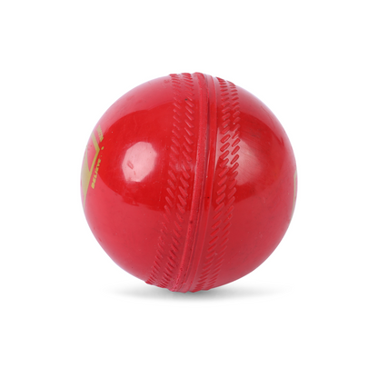SG Everlast Synthetic Cricket Ball