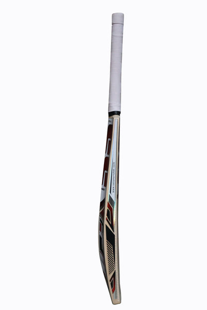 SS Master Kashmir Willow Cricket Bat