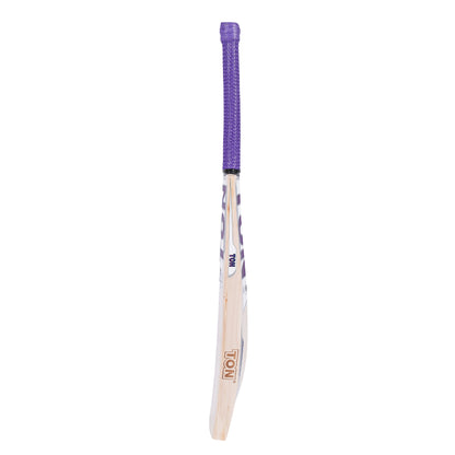SS TON Glory English Willow Cricket Bat