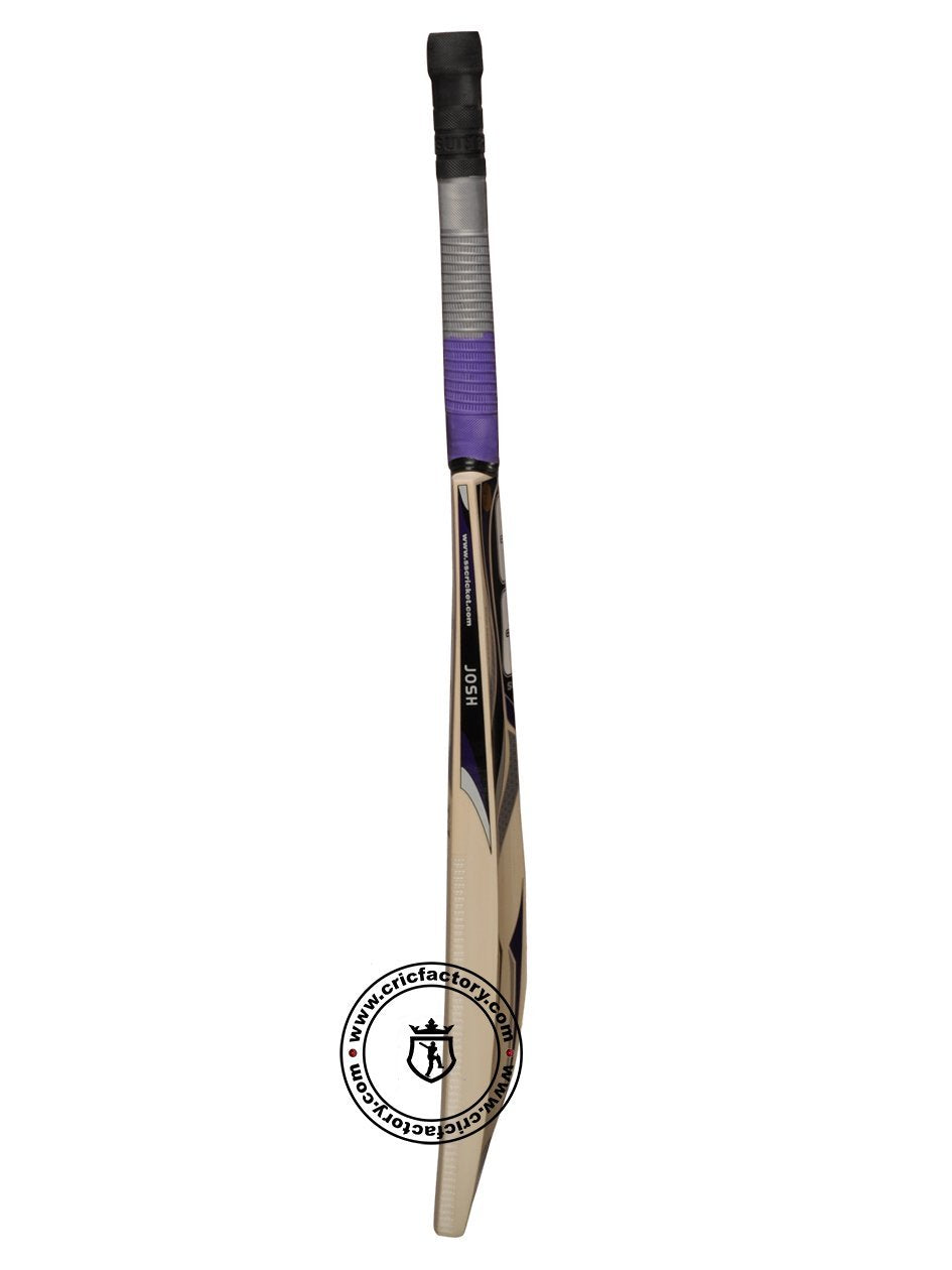 SS Josh Kashmir Willow Cricket Bat