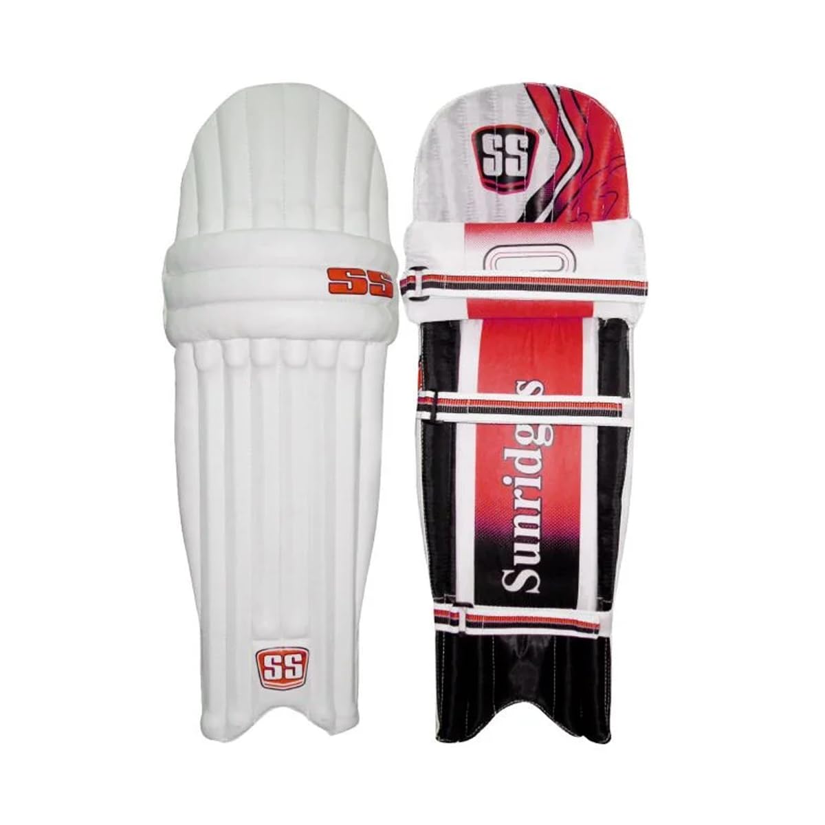 SS Ravindra Jadeja kashmir willow Full Cricket Kit