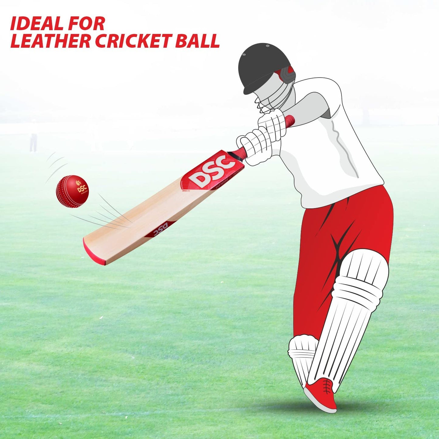 DSC IBIS 11 Kashmir Willow Cricket Bat