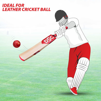 DSC IBIS 11 Kashmir Willow Cricket Bat
