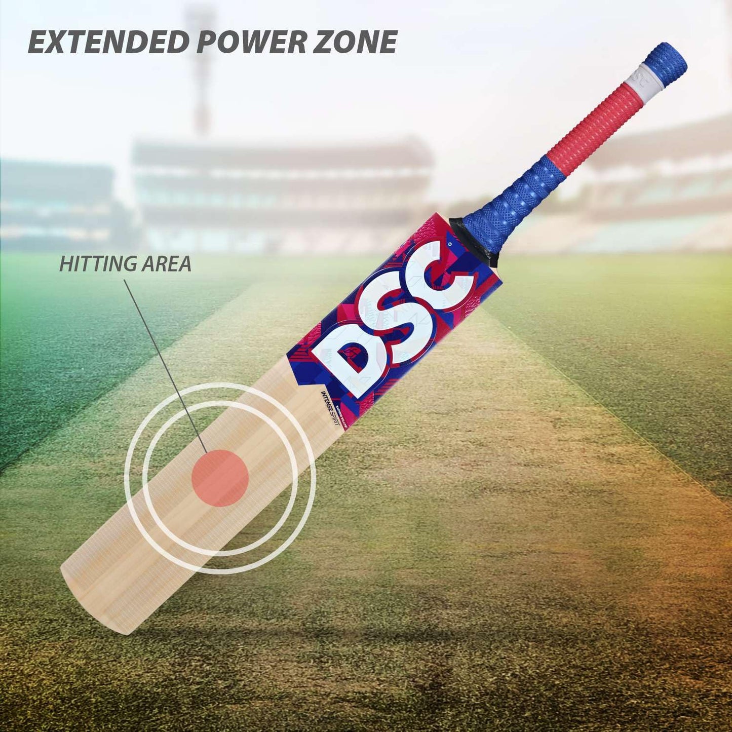 DSC Intense Spirit Kashmir Willow Cricket Bat