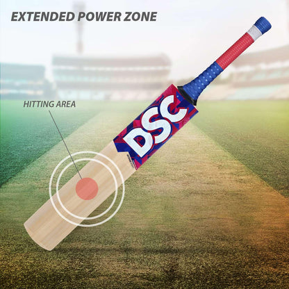 DSC Intense Spirit Kashmir Willow Cricket Bat