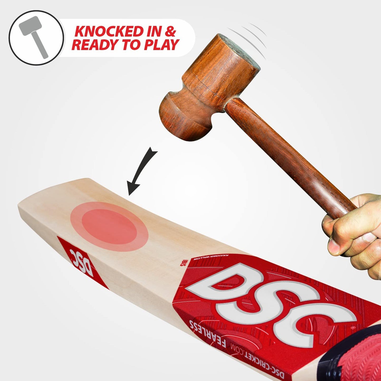 DSC IBIS 11 Kashmir Willow Cricket Bat
