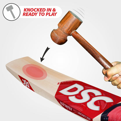 DSC IBIS 22 Kashmir Willow Cricket Bat
