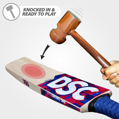 DSC Intense Spirit Kashmir Willow Cricket Bat