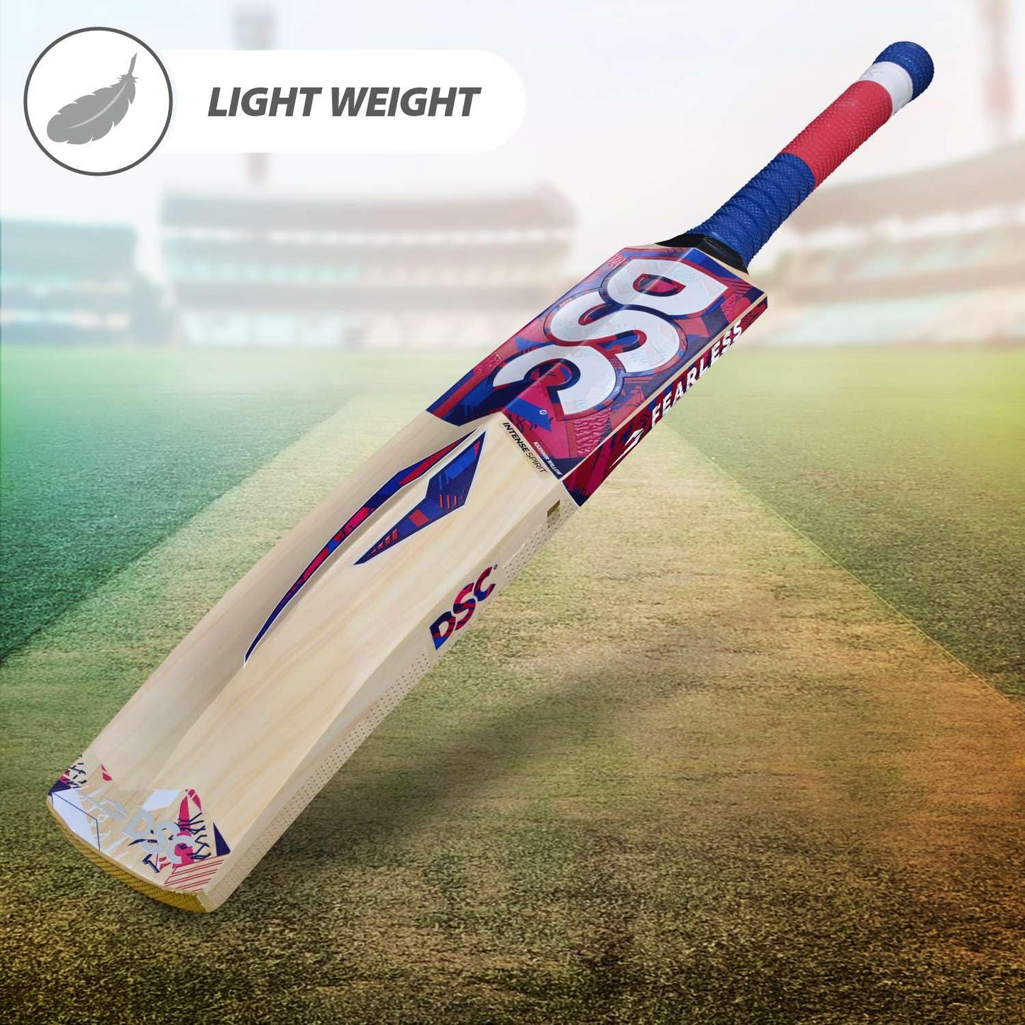 DSC Intense Spirit Kashmir Willow Cricket Bat