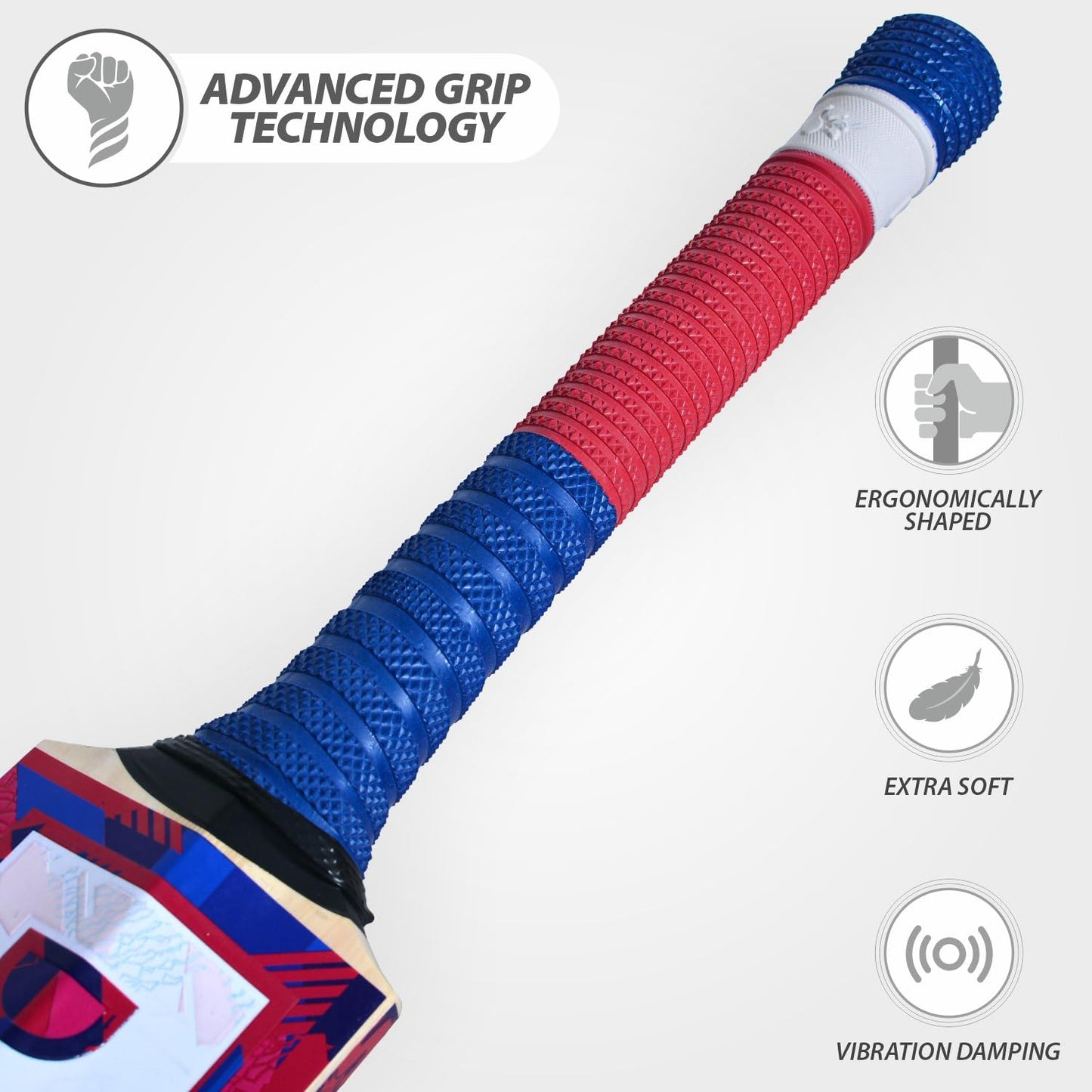 DSC Intense Spirit Kashmir Willow Cricket Bat