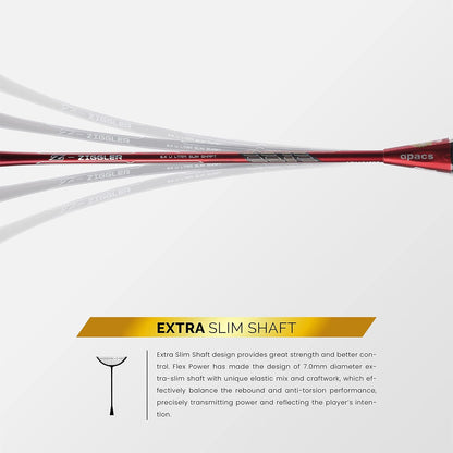 Apacs Z Ziggler Badminton Racket