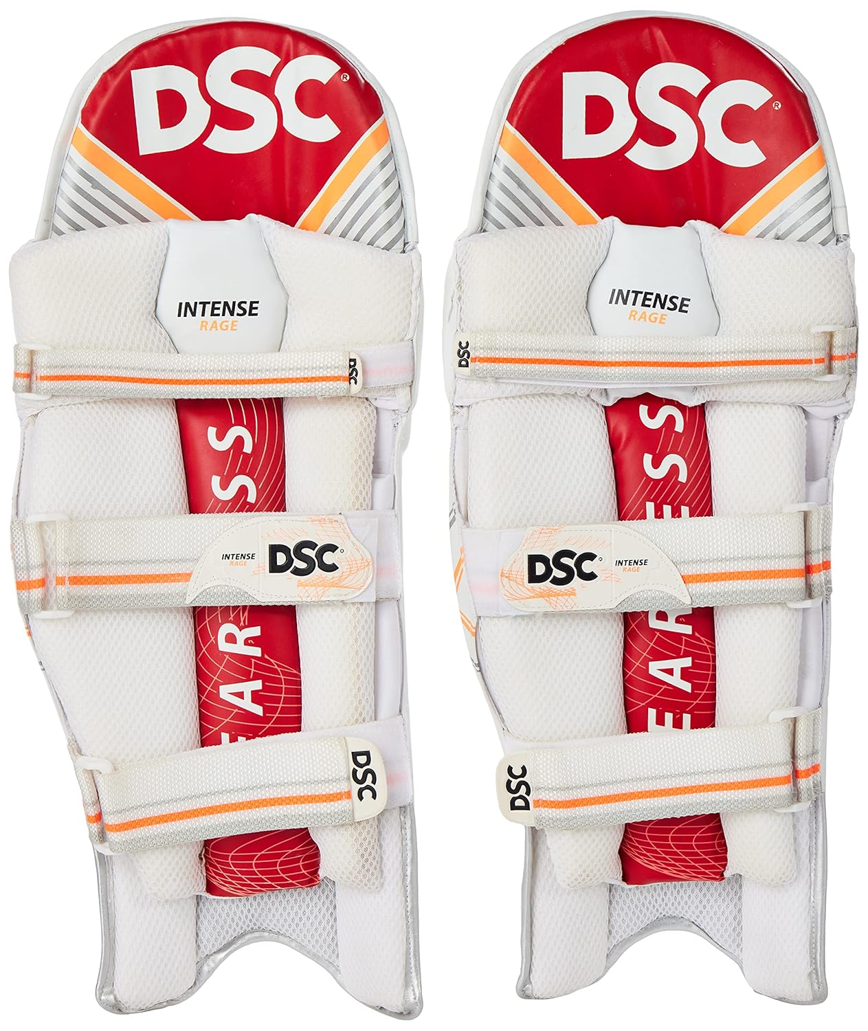 DSC Intense Rage Batting Leg-guards