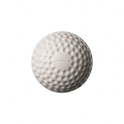 SG Swinga Cricket ball