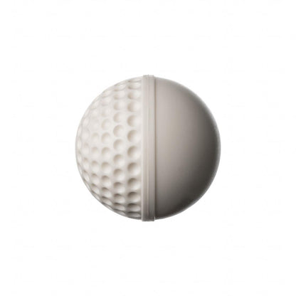 SG Swinga Cricket ball