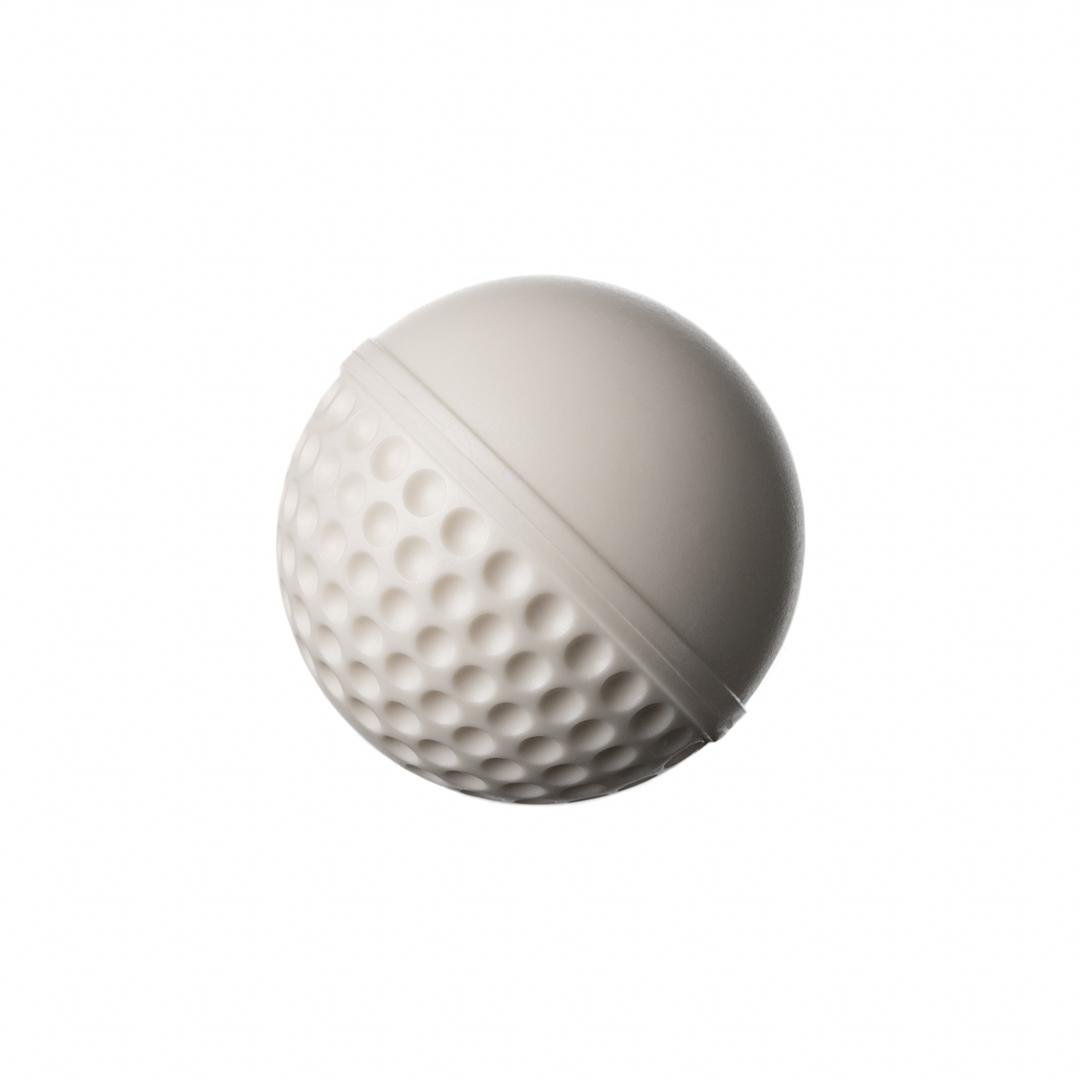 SG Swinga Cricket ball