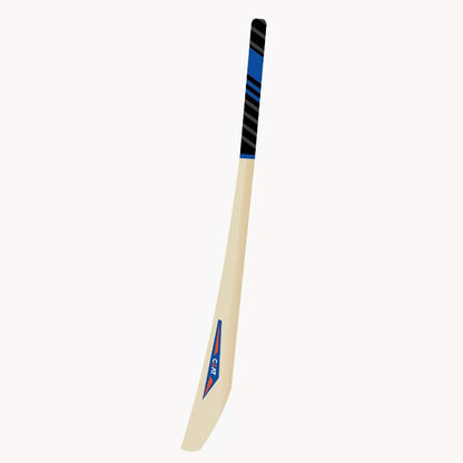CEAT PRO R 10 KASHMIR WILLOW CRICKET BAT