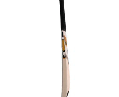 SF Gold Edition Kashmir Willow Bat