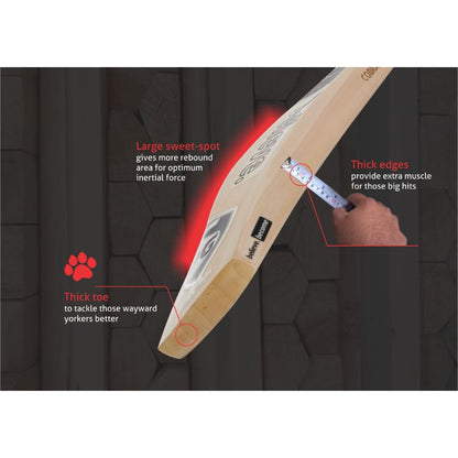 SG Cobra™ Xtreme English Willow Cricket Bat