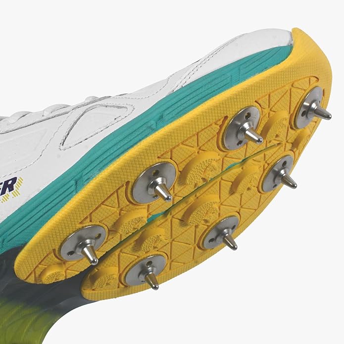 DSC Drifter Cricket Shoes