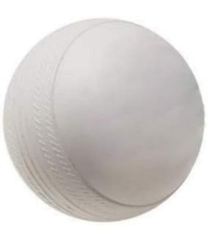 NAGORY CRICKET MAGIC BALL