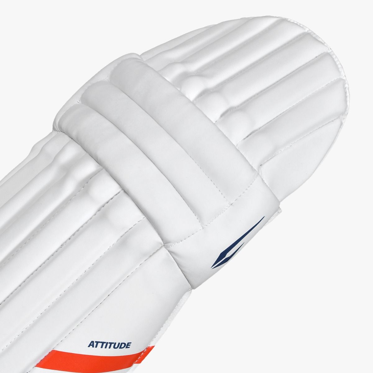 DSC Attitude Batting Leg Guard