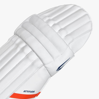 DSC Attitude Batting Leg Guard