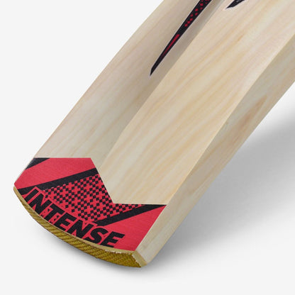 DSC Intense Zeal Kashmir Willow Cricket Bat