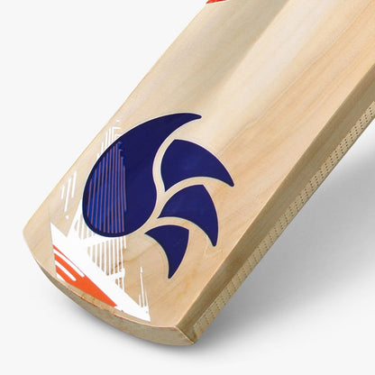 DSC Krunch 22 Kashmir Willow Bat
