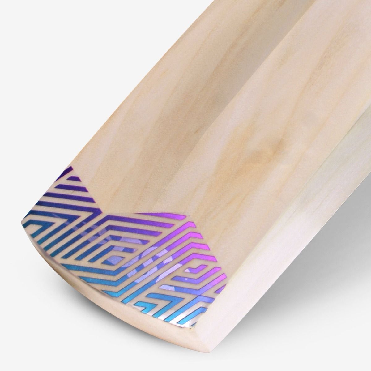 DSC RS Exclusiv Kashmir Willow Bat