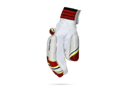 SF College Batting Gloves