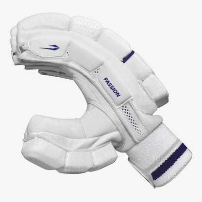 DSC Passion Batting Gloves