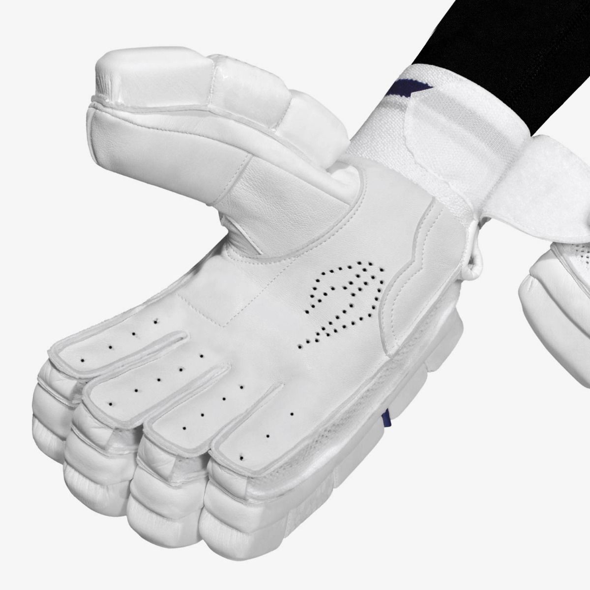 DSC Passion Batting Gloves